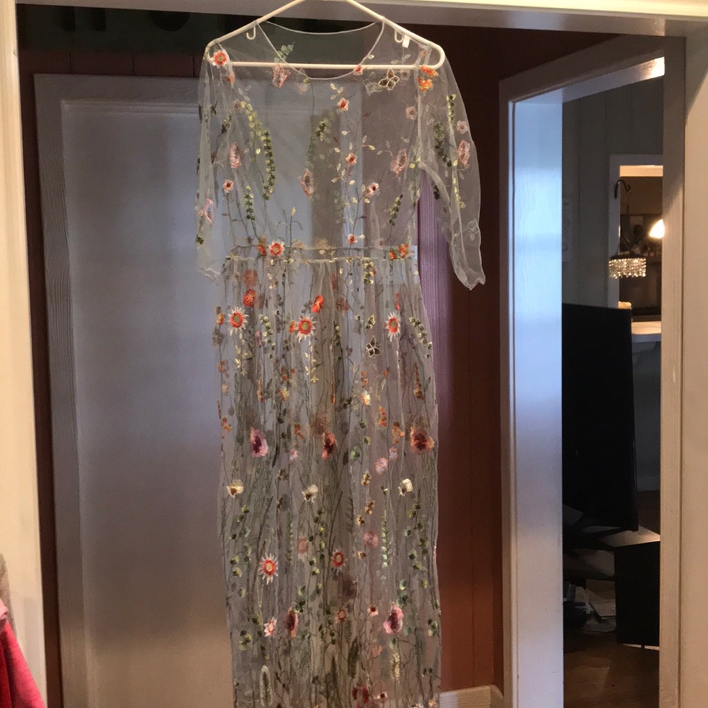 Sheer embroidered dress. Gorgeous